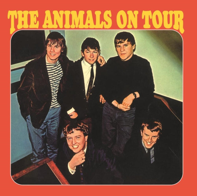 Animals On Tour & Animal Tracks
