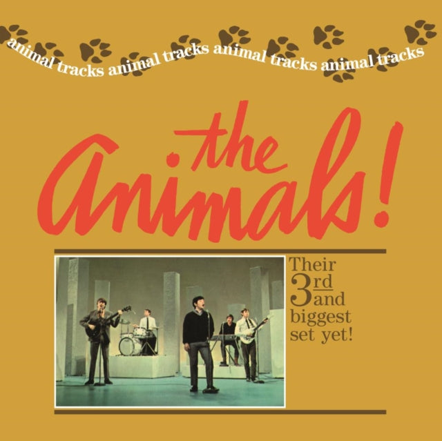 Animals On Tour & Animal Tracks
