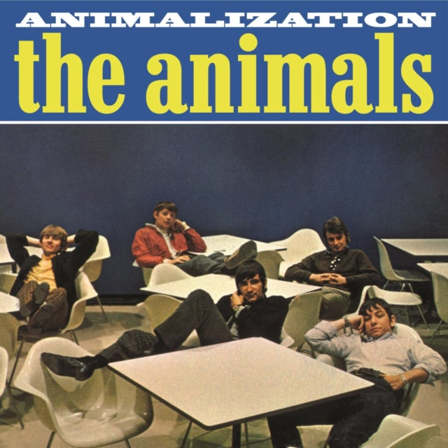 Animal Tracks & Animalization
