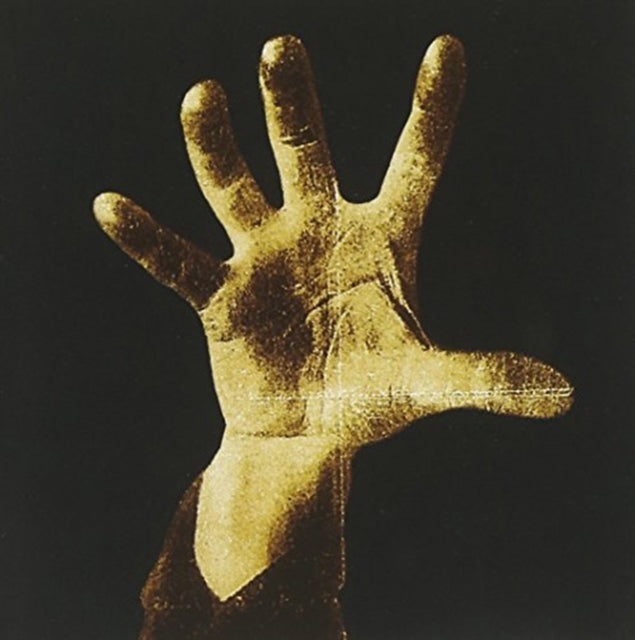 Toxicity & System Of A Down & Steal This Album