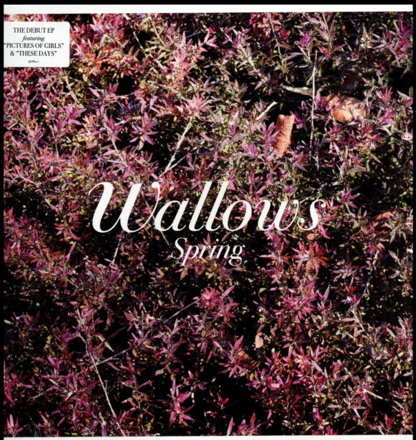 Remote (Pink  LP Vinyl/Etched B-Side) & Spring Ep (X) (Pink & Green LP Vinyl)