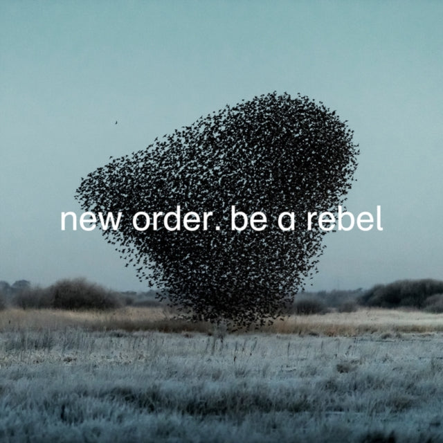 Education Entertainment Recreation (Live) & Be A Rebel Ep & Be A Rebel & New Order (Marble LP Vinyl)
