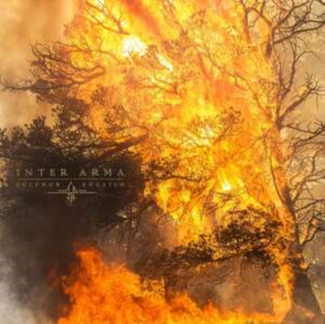Sky Burial (Coke Bottle Green With Aqua Blue, Bone White & Silver Splatter LP Vinyl) & Paradise Gallows (Mint Green & Grimace Purple Galaxy Merge Vinyl/2LP) & Sulphur English (Gold Nugget Vinyl/2LP)
