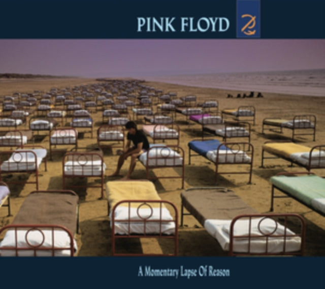 Animals (2018 Remix) (LP/CD/DVD/Blu-Ray/180G) & More (180G) & Momentary Lapse Of Reason (180G/Gatefold) (2016 Version) & Best Of Pink Floyd: A Foot In Door (2LP/180G Vinyl)