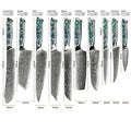 Professional Damascus VG 10 Steel Core 67 layers stainless steel Abalone handle kitchen knives set