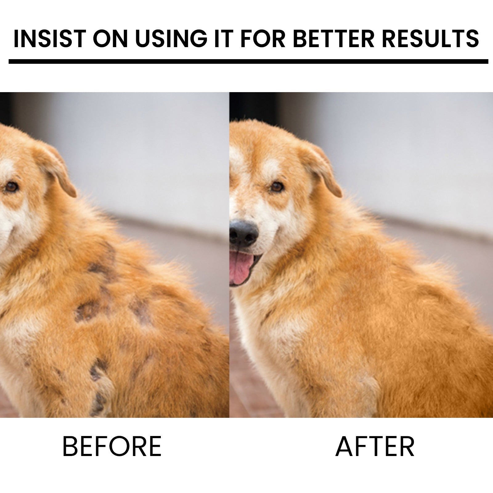 Pet Hair Growth Spray for Cats and Dogs - Hair Care Treatment for Damaged Follicles and Hair Loss