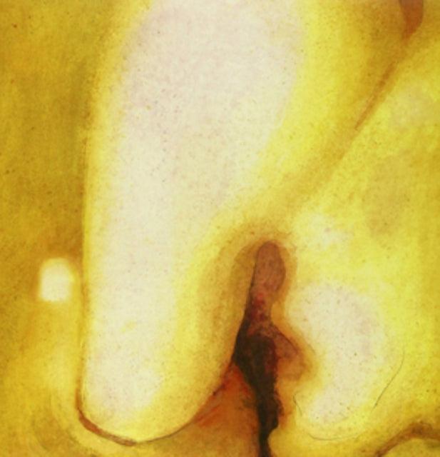 Pisces Iscariot & Siamese Dream (180G/2LP) & Adore (2LP)