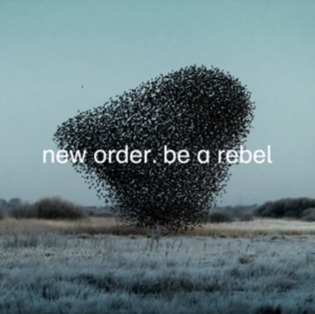 Education Entertainment Recreation (Live) & Be A Rebel Ep & Be A Rebel & New Order (Marble LP Vinyl)