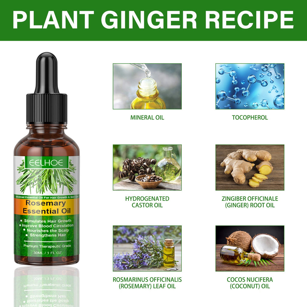 Rosemary Hair Essential Oil Gentle Scalp Care Soft Shine Natural Fluffy Hair Essential Oil