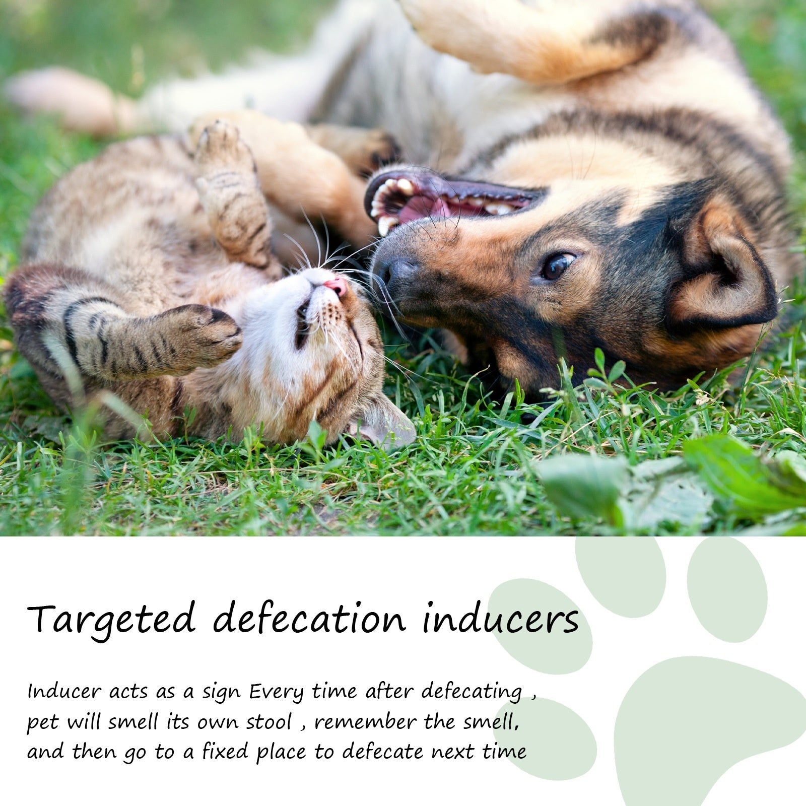 Pet Location Training Agent for Toilet Induction and Waste Positioning