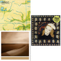 Brian Eno - Taking Tiger Mountain (By Strategy) (140G/2017 Master) & Ambient 1: Music For Airports & Small Craft On A Milk Sea (2LP/Dl Card)