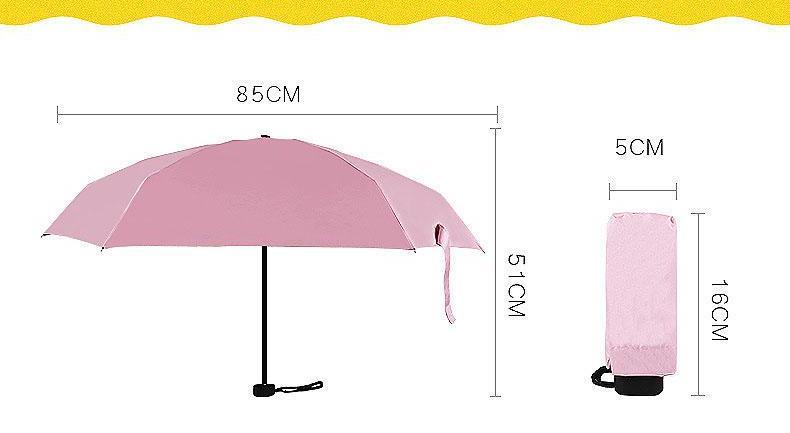 Pocket Umbrella