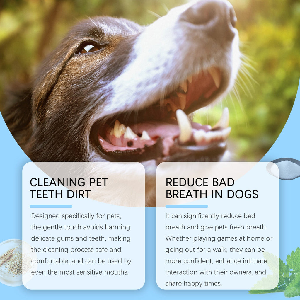 New Pet Toothbrush, Gentle Care, Fresh Breath Clean Bad Breath Pet Teeth Cleaning Pen