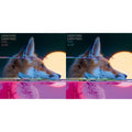 Everything Everything - Man Alive (Deluxe Edition) (2LP) & Man Alive