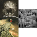 Take A Look In The Mirror (2 LP) (140G) & Follow The Leader (Pa) (2 LP/140G) & Requiem
