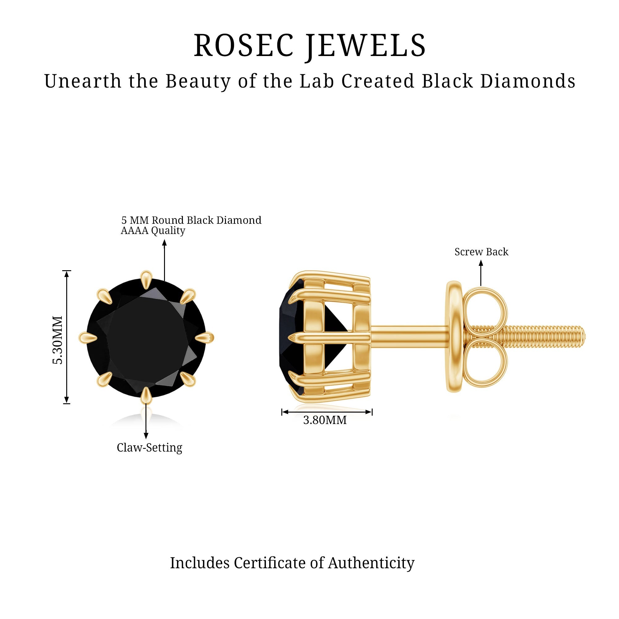 Solitaire 1.6 Carat Lab Created Black Diamond Stud Earrings