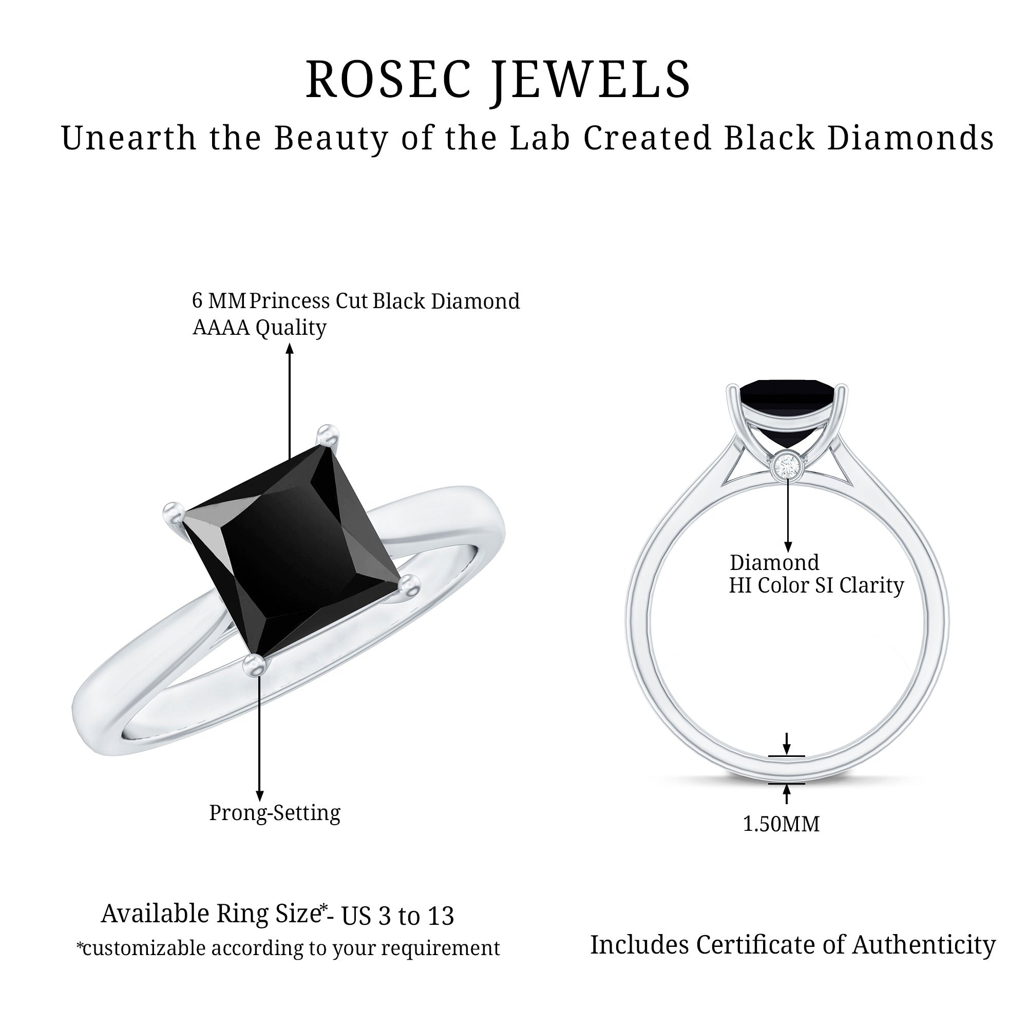 1 Carat Princess Cut Lab Grown Black Diamond Engagement Ring with Surprise White Diamond