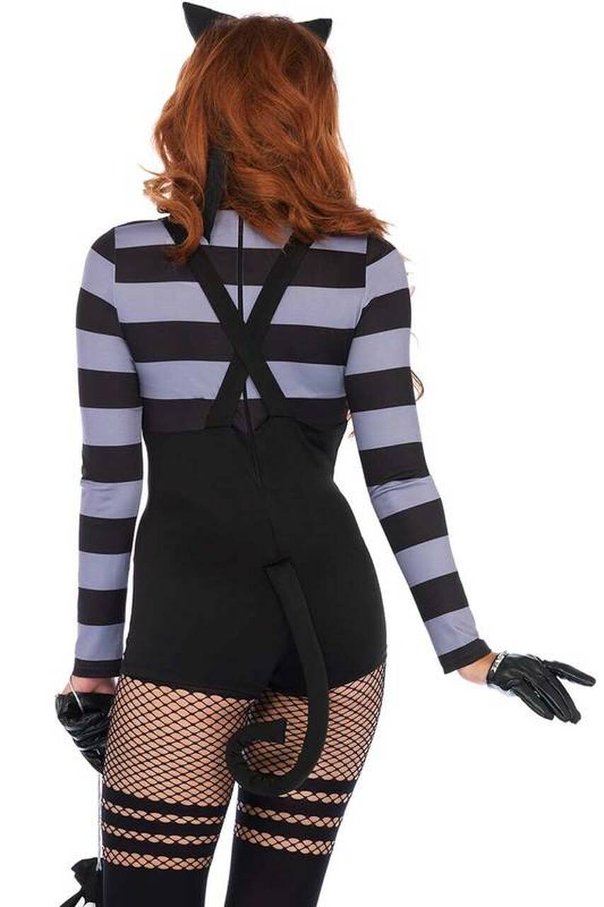 Sexy Cat Burglar Costume - Andersen Mercantile