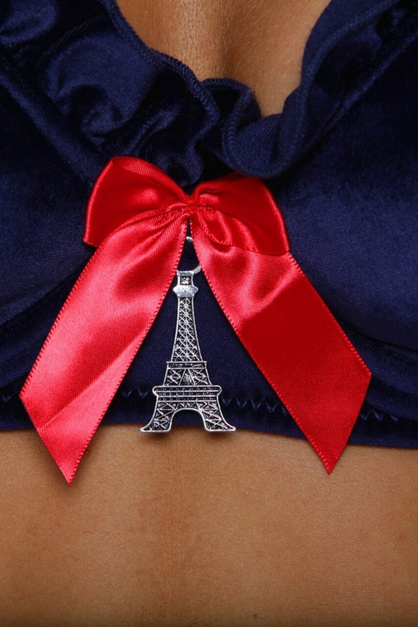 Parisian Schoolgirl Halloween Costume - Andersen Mercantile