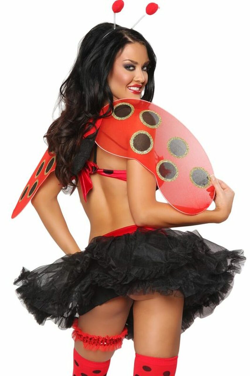 Adult Ladybug Costume - Andersen Mercantile