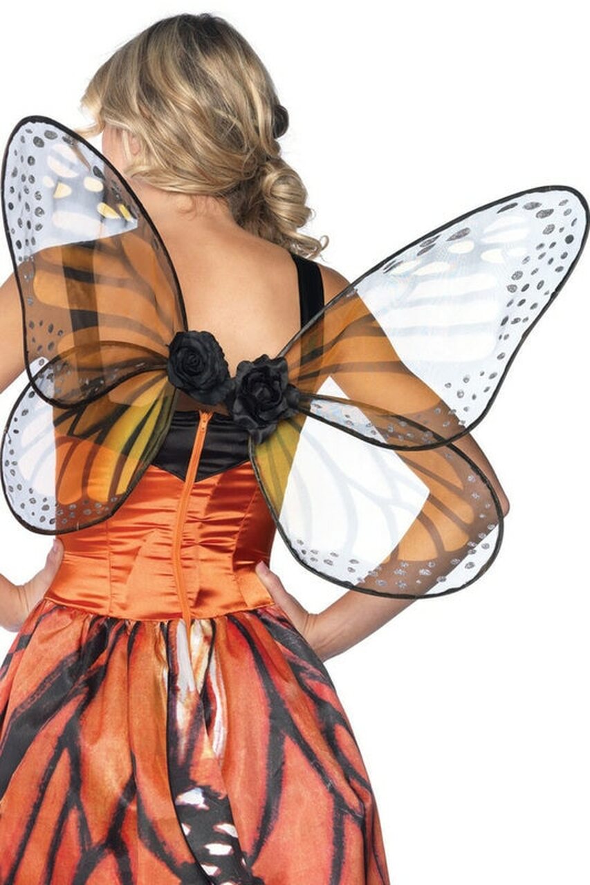 Monarch Butterfly Wings - Andersen Mercantile