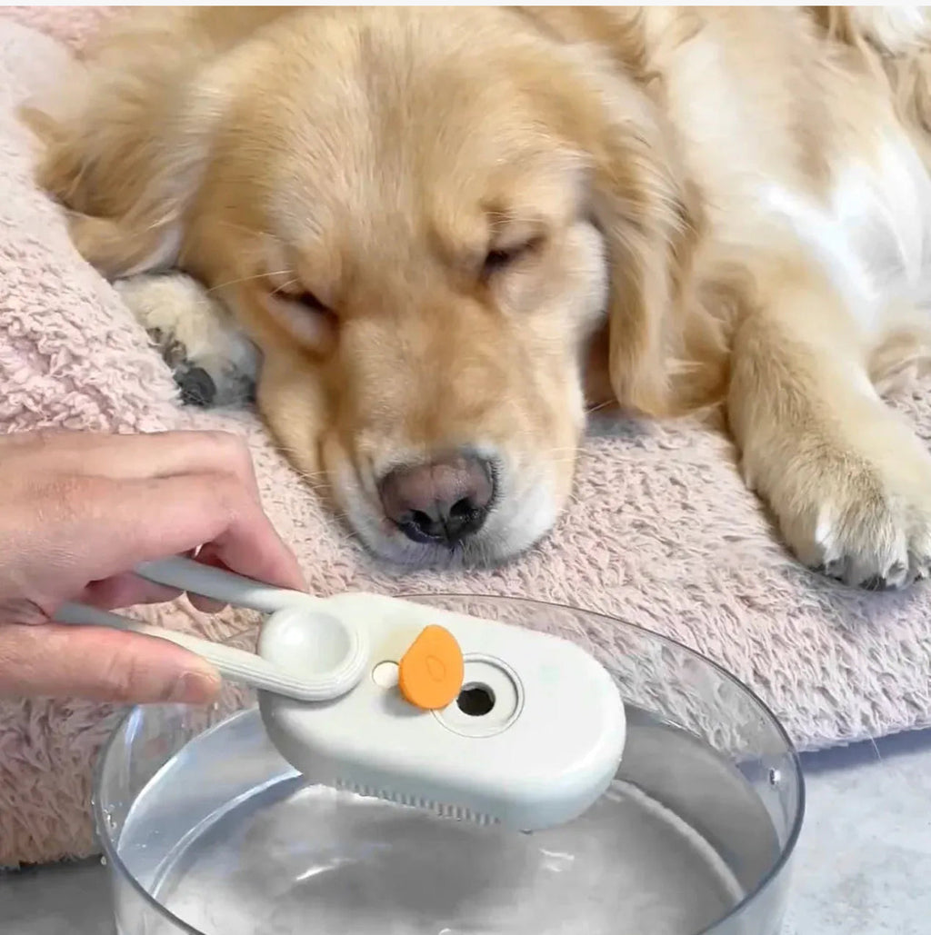 Steamy Hair Brush